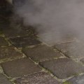 Controlling Pollution from Diesel Engines